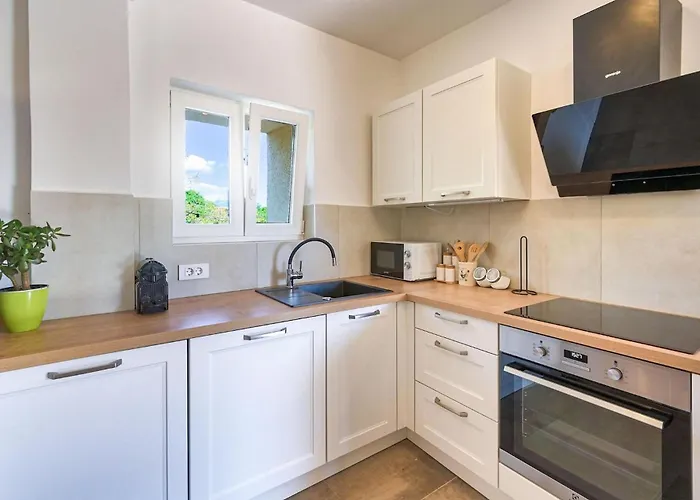 Crassula * Kras